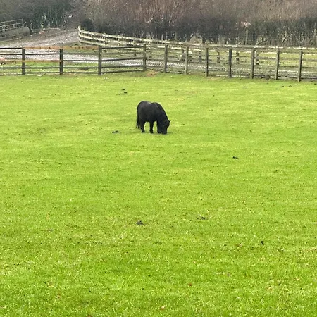 Burtree Country House, Tipi's, Treehouse & & House With Hot Tubs In A Private Garden Lodge Thirsk
