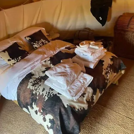 Burtree Country House, Tipi's, Treehouse & & House With Hot Tubs In A Private Garden Thirsk