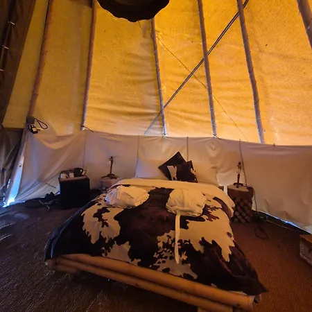 Burtree Country House, Tipi's, Treehouse & & House With Hot Tubs In A Private Garden ת'ירסק