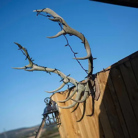 Lodge Burtree Country House, Tipi's, Treehouse & & House With Hot Tubs In A Private Garden