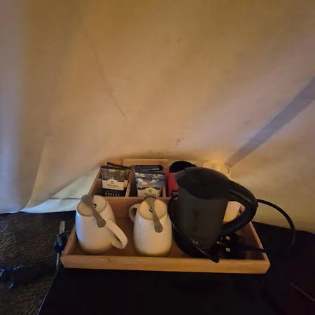 Burtree Country House, Tipi's, Treehouse & & House With Hot Tubs In A Private Garden Lodge